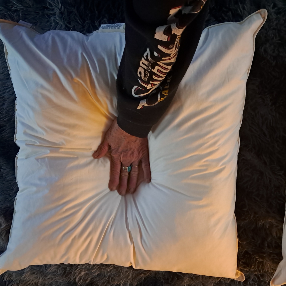 2 Euro Throw Pillows for Home Bedding or Sofa